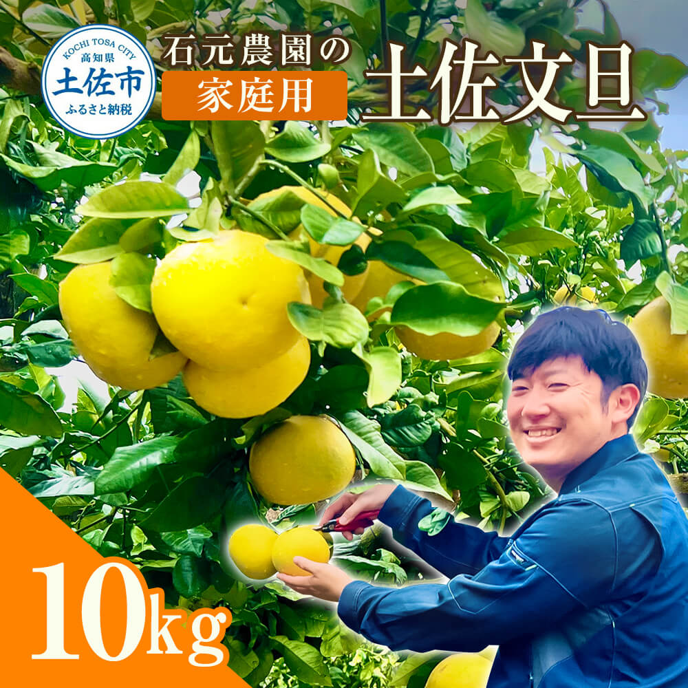 石元農園の土佐文旦　家庭用　約１０キロ（１４～２２玉） 期間限定 先行予約