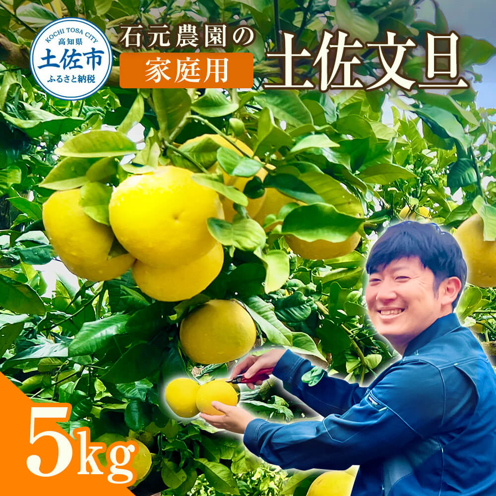 石元農園の土佐文旦 家庭用 約５キロ（７～１２玉） 期間限定 先行予約