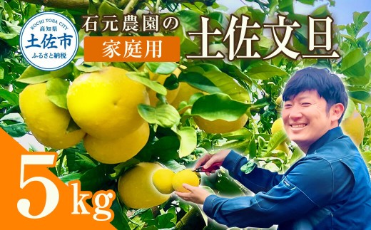 【先行予約】石元農園の土佐文旦 家庭用 約5キロ（7～12玉）〈2027年2月～発送〉期間限定 土佐文旦 文旦 5kg ブンタン ぶんたん 果物 柑橘 フルーツ 高知県産 家庭用 おいしい【石元農園】 [BQBH001]
