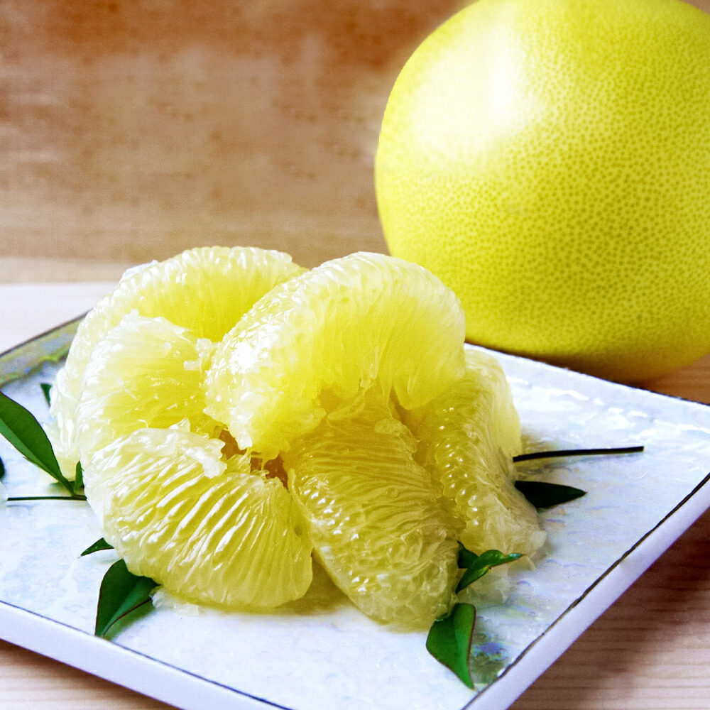 石元農園の土佐文旦 家庭用 約５キロ（７～１２玉） 期間限定 先行予約 