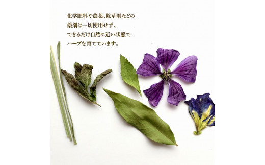 ＜6回定期便＞ ハーブ仁淀川産 自然栽培ハーブ 高知ブルース ハーブティー ティーバッグタイプ 7袋入り×2個セット