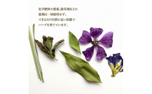 ハーブ仁淀川産 自然栽培ハーブ 高知ブルース ハーブティー ティーバッグタイプ 7袋入り×2個セット 