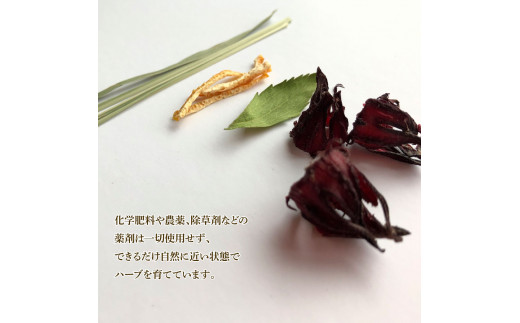 ＜3回定期便＞ ハーブ仁淀川産 自然栽培ハーブ トロピカルブレンド プレーン ハーブティー ティーバッグタイプ 7袋入り×2個セット