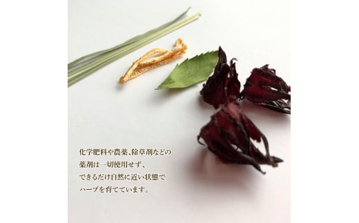 ハーブ仁淀川産 自然栽培ハーブ トロピカルブレンド プレーン ハーブティー ティーバッグタイプ 7袋入り 