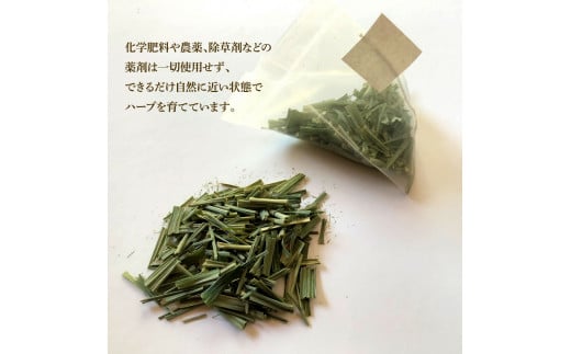 ハーブ仁淀川産 自然栽培ハーブ レモングラス ハーブティー ティーバッグタイプ 5個セット 7袋入り×5個 