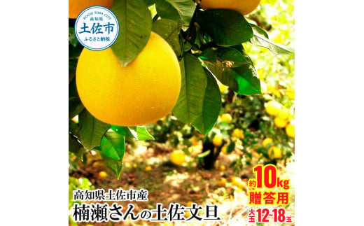 【先行予約】楠瀬さんの土佐文旦 贈答用大玉 約10kg〈2027年2月15日～2027年4月5日発送〉 期間限定 高知 土佐 文旦 ぶんたん ブンタン 柑橘 みかん 果物 10キロ 3L～4Lサイズ 12～18玉【まる庄果樹園】[BQAF008]