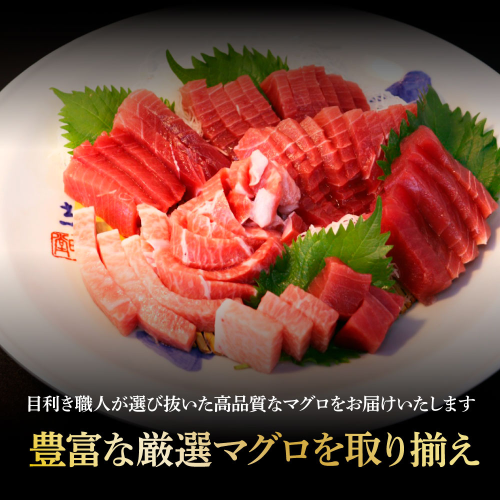 本鮪 大トロ500g トロ マグロ まぐろ 本まぐろ 刺身 刺し身 魚 天然 冷凍 美味しい おいしい 故郷納税 ふるさとのうぜい 返礼品 高知県 高知