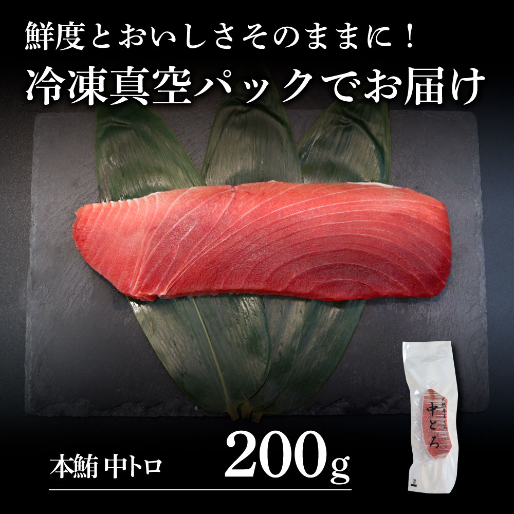 本鮪 中トロ200g トロ マグロ まぐろ 本まぐろ 刺身 刺し身 魚 海鮮 冷凍 美味しい おいしい 故郷納税 ふるさとのうぜい 返礼品 高知県 高知