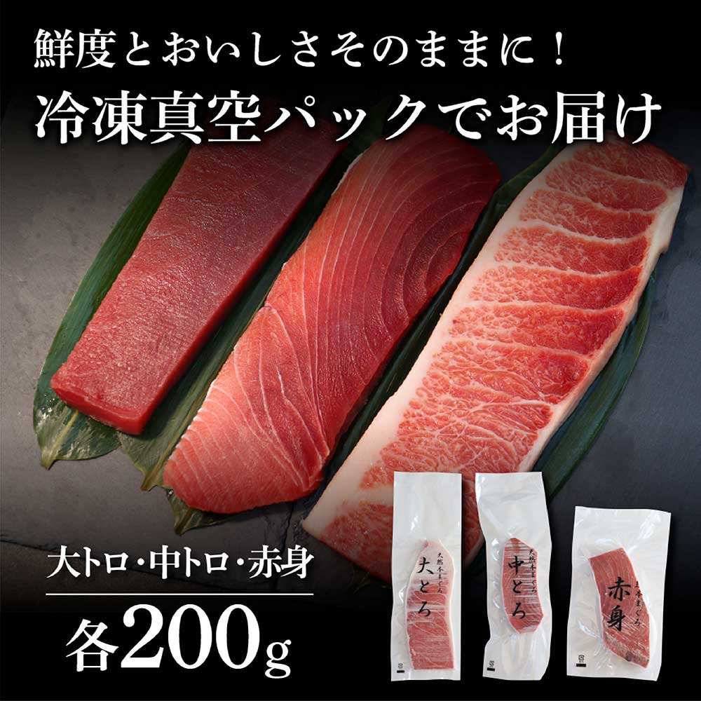 本鮪　大トロ・中トロ・赤身　各200g　まぐろ3種盛セット  マグロ まぐろ 本まぐろ 刺身 刺し身 魚 海鮮 冷凍 美味しい おいしい 食べ比べ セット 詰め合わせ 故郷納税 ふるさとのうぜい 返礼品 高知県 高知