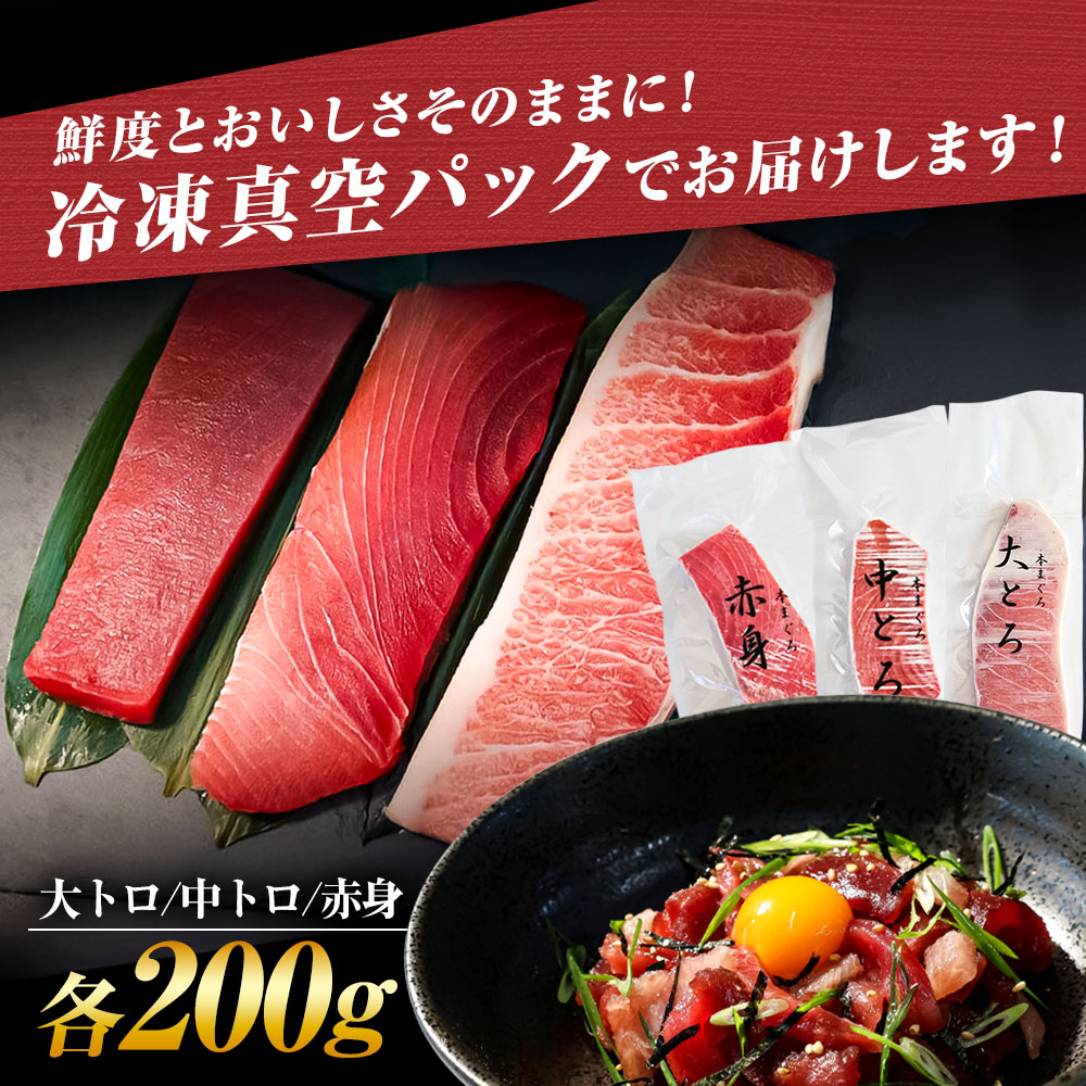 本鮪　大トロ・中トロ・赤身　各200g