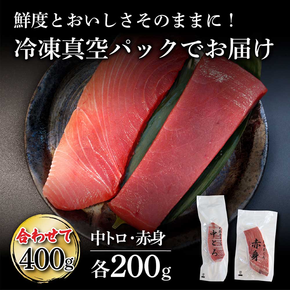 本鮪　中トロ・赤身　各200ｇ合せて400ｇ　赤身中トロセット 赤身 トロ マグロ まぐろ 本まぐろ 刺身 刺し身 魚 海鮮 冷凍 美味しい おいしい 食べ比べ セット 故郷納税 ふるさとのうぜい 返礼品 高知県 高知