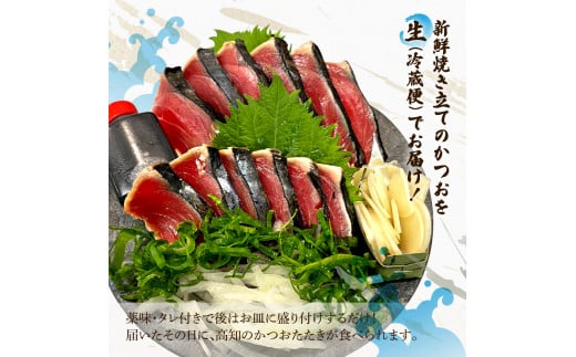 ＜定期便＞初鰹・戻り鰹！！ 高知のお魚定期便！！生鰹藁焼きタタキ（5月・11月）年2回お届け 1～3節 3～5人前 タタキ 鰹のタタキ 藁焼き 生カツオ 薬味 タレ付き 新鮮 冷蔵 本場 鰹タタキ