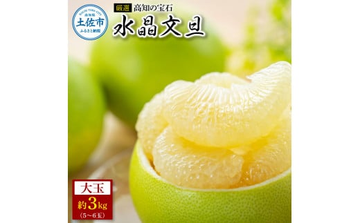 ＜厳選＞高知の宝石、水晶文旦3kg 先行予約 期間限定