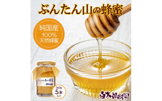 爽やかな香り広がる100%天然蜂蜜 ぶんたん山の蜂蜜　360g 5本入り はちみつ ハチミツ 高知県産 国産 天然はちみつ 土佐 高知 【白木果樹園】