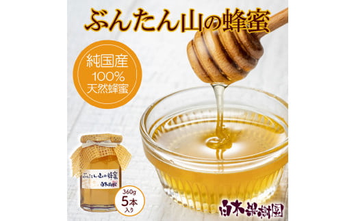 【先行予約】爽やかな香り広がる100%天然蜂蜜 ぶんたん山の蜂蜜　360g 5本入り〈2026年6月頃から順次発送〉  /  はちみつ ハチミツ 高知県産 国産 天然はちみつ 土佐 高知 【白木果樹園】【白木果樹園】 [BQAI056]