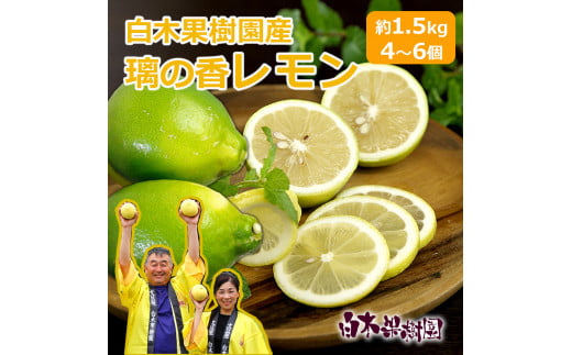 璃の香レモン　約1.5kg　（4～6個）訳ありご家庭用