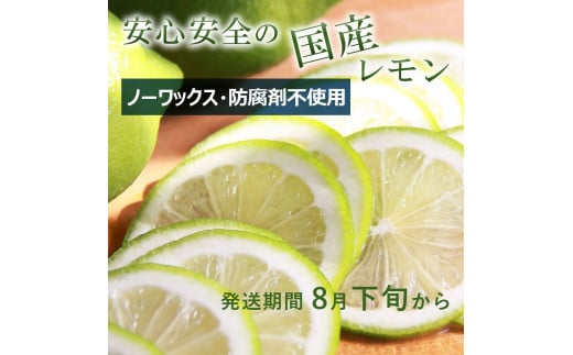 璃の香レモン　約1.5kg　（4～6個）訳ありご家庭用　果物　柑橘　フルーツ　レモン　高知県土佐市　お取り寄せ 産地直送　おいしい 美味しい　白木果樹園