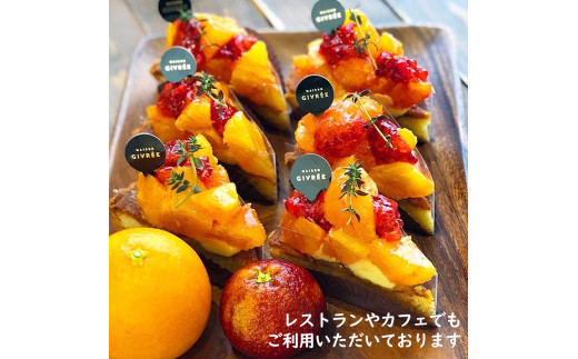 【先行予約】ブラッドオレンジ　約3kg　〈2027年2月中旬～3月中旬頃発送〉  / 果物　柑橘　フルーツ　オレンジ　高知県土佐市　お取り寄せ 産地直送　おいしい 美味しい　白木果樹園【白木果樹園】 [BQAI042]