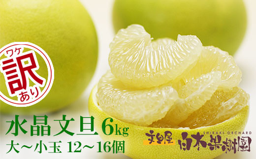 【先行予約】水晶文旦 ご家庭用お得箱 約6kg Mサイズ～4Ｌサイズ（12～16個入り）〈2026年10月上旬～11月上旬頃発送〉  /  訳あり ワケあり 訳 傷 キズ へこみ 文旦 ブンタン ぶんたん 水晶文旦 果物 柑橘【白木果樹園】 [BQAI022]