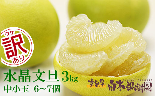 【先行予約】水晶文旦 ご家庭用お得箱 約3kg Lサイズ～２Ｌサイズ （6～7個入り）〈2026年10月上旬～11月上旬頃発送〉  /  訳あり ワケあり 訳 傷 キズ へこみ 文旦 ブンタン ぶんたん 水晶文旦 果物 柑橘【白木果樹園】 [BQAI021]