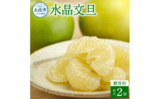 【先行予約】水晶文旦 特選ご贈答用 特大 約1.5kg（2個入）〈2026年10月上旬～11月上旬頃発送〉  /  ぶんたん ブンタン 水晶文旦 果物 柑橘 フルーツ 特大サイズ お取り寄せ 特産品 美味しい 高知県産【白木果樹園】 [BQAI020]