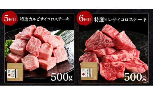 土佐和牛詰め合わせ6種 6ヶ月定期便 長期熟成肉 6種 詰め合わせ セット 田野屋銀象 完全天日塩付き 牛肉 肉 お肉 和牛 国産 牛 赤身 ヒレ カルビ ロース ブロック サイコロステーキ 熟成肉