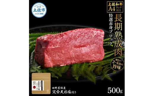 土佐和牛 特選赤身ブロック500g 田野屋銀象完全天日塩1P付き 長期熟成肉