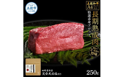 土佐和牛 特選赤身ブロック250g 田野屋銀象完全天日塩1P付き 長期熟成肉
