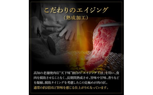 土佐和牛 特選赤身ブロック250g 田野屋銀象完全天日塩1P付き 長期熟成肉 田野屋銀象 完全天日塩付き 赤身 牛肉 ブロック 肉 お肉 和牛 国産 牛 熟成肉 ブロック肉 豪華 贅沢 真空パック