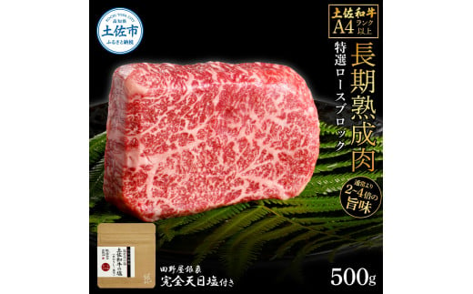 土佐和牛 特選ロースブロック500g 田野屋銀象完全天日塩1P付き 長期熟成肉 田野屋銀象 完全天日塩付き ロース 牛肉 ブロック 肉 お肉 和牛 国産 牛 熟成肉 ブロック肉 贅沢 真空パック