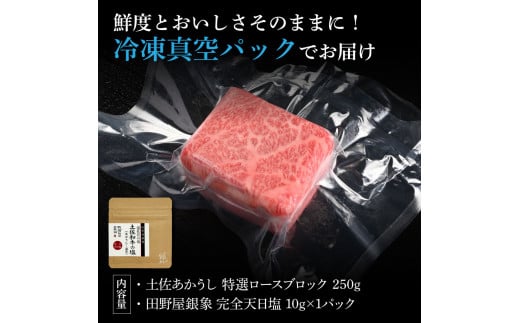 特選 ロースブロック 土佐あかうし 長期熟成肉 250g 田野屋銀象 完全天日塩付き ロース 牛肉 ブロック 肉 お肉 和牛 国産 牛 熟成肉 ブロック肉 豪華 贅沢 真空パック 冷凍配送