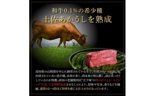 特選 ヒレ肉サイコロステーキ 土佐あかうし 長期熟成肉 500g×4 合計2kg 田野屋銀象 完全天日塩付き