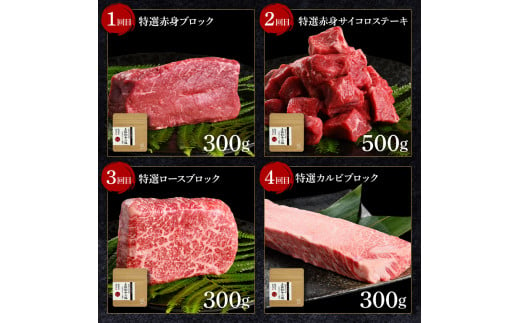 特選 土佐あかうし 8ヶ月定期便 長期熟成肉 8種 田野屋銀象 完全天日塩付き 牛肉 肉 お肉 和牛 国産 牛 赤身 ヒレ カルビ ロース ブロック ステーキ スネ肉 熟成肉 贅沢 真空パック 冷凍