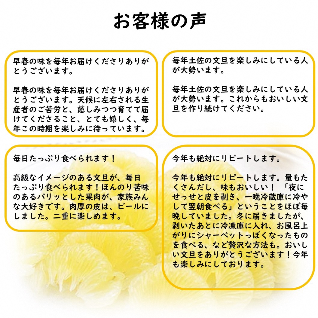 【先行予約】生産者直送 土佐文旦 約9.5kg [2L～4L] 家庭用 ＜2027年1月下旬より発送＞ 家庭用 文旦 柑橘 みかん フルーツ 果物  産地直送 お取り寄せ 人気 【土佐文旦産直協同組合】