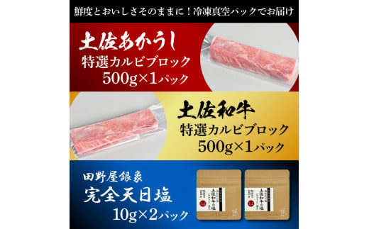 土佐あかうし＆土佐和牛2種食べ比べ 特選カルビブロック500g 計2P 田野屋銀象完全天日塩2P付 牛肉 肉 お肉 和牛 国産 牛 赤身 ヒレ カルビ ロース ブロック サーロイン 熟成肉