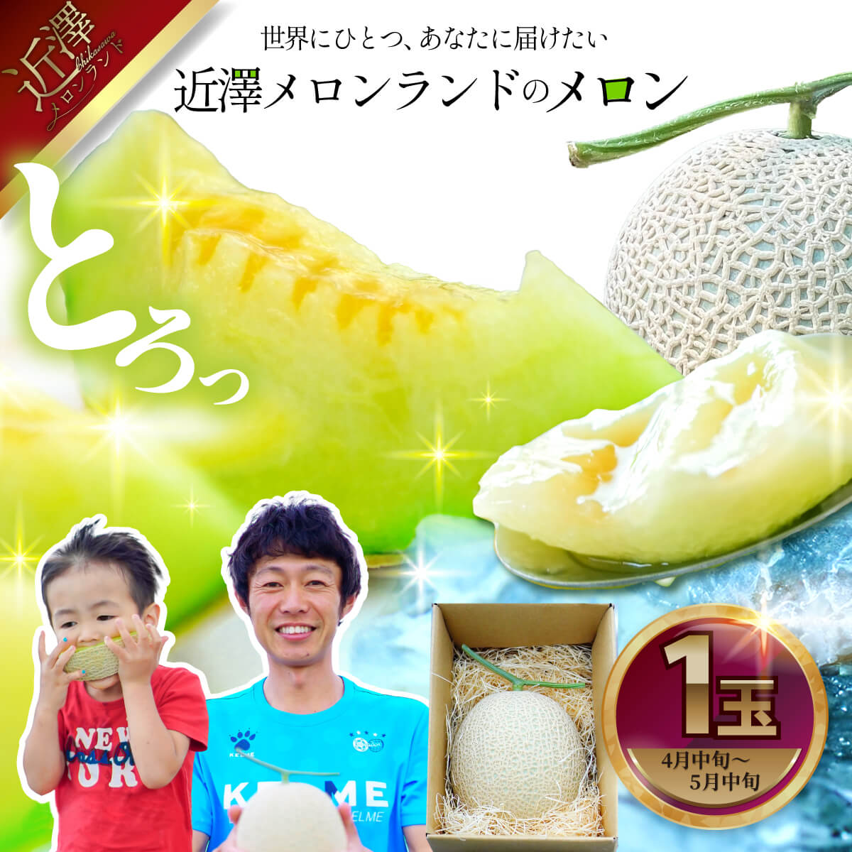 先行予約 メロン １玉入（約1.4kg～1.8kg）青肉 2026年春発送 期間限定 メロン めろん マスクメロン 舐瓜 果物 くだもの フルーツ デザート 旬 ハウス栽培 常温配送