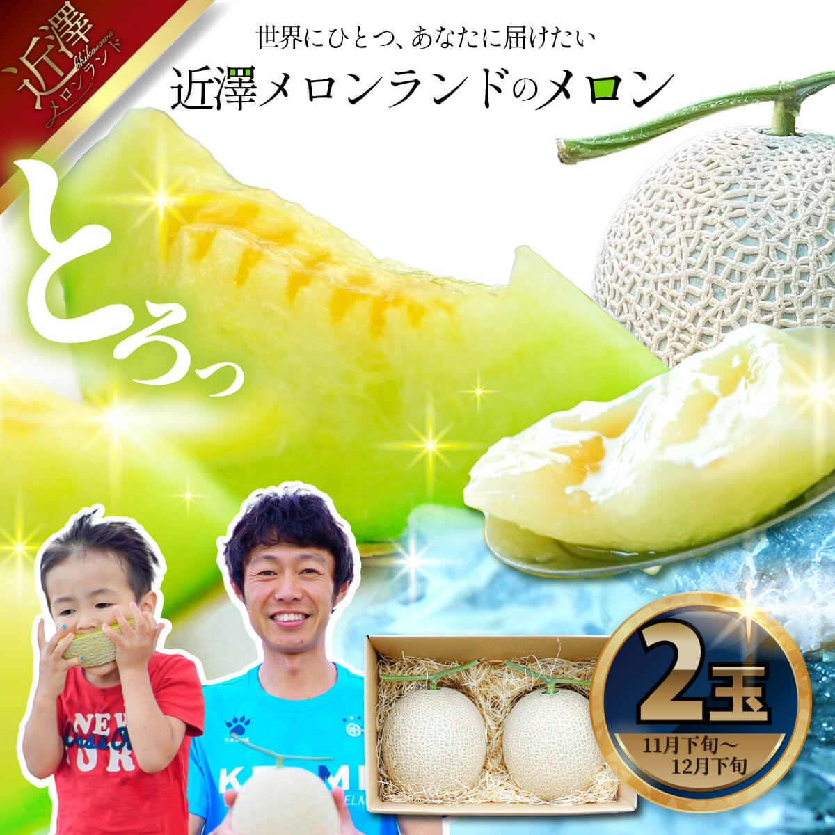 先行予約 メロン ２玉入り（1玉約1.4kg～1.8kg）青肉 2025年冬発送 期間限定