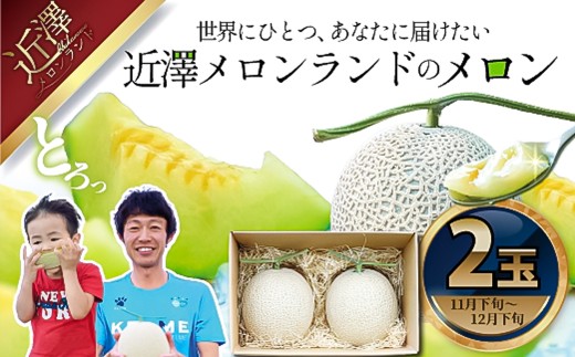 【先行予約】メロン 2玉入り（1玉約1.4kg～1.8kg）青肉 〈2026年11月下旬～12月末頃発送〉 メロン めろん マスクメロン 舐瓜 果物 くだもの フルーツ デザート 旬【株式会社とさもん】[BQAE023]