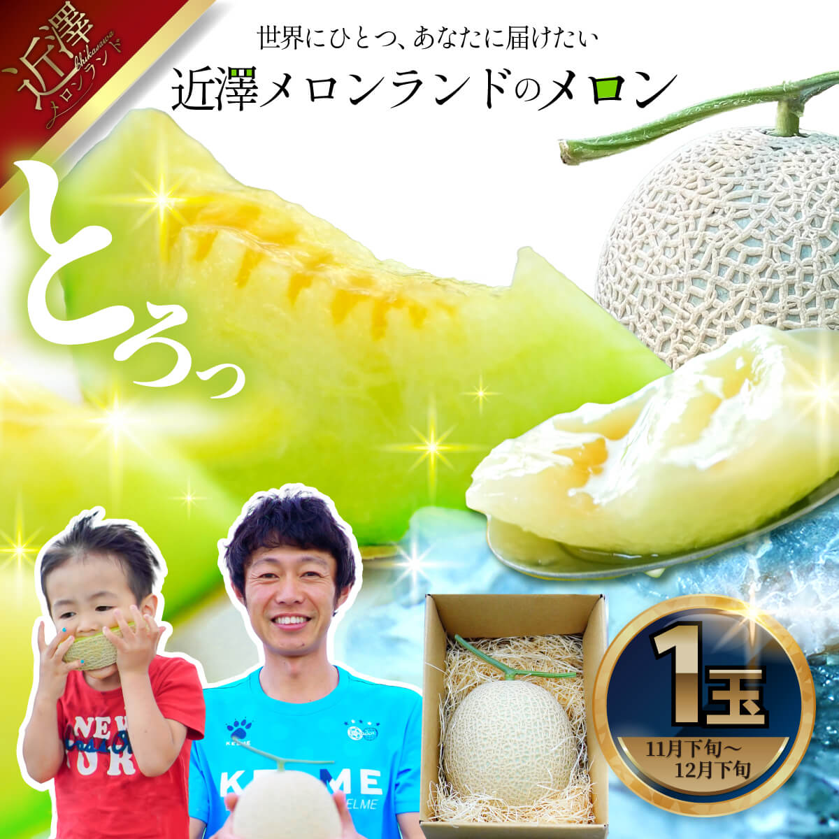 先行予約 メロン １玉入（約1.4kg～1.8kg）青肉 2025年冬発送 期間限定 メロン めろん マスクメロン 舐瓜 果物 くだもの フルーツ デザート 旬 ハウス栽培 常温配送