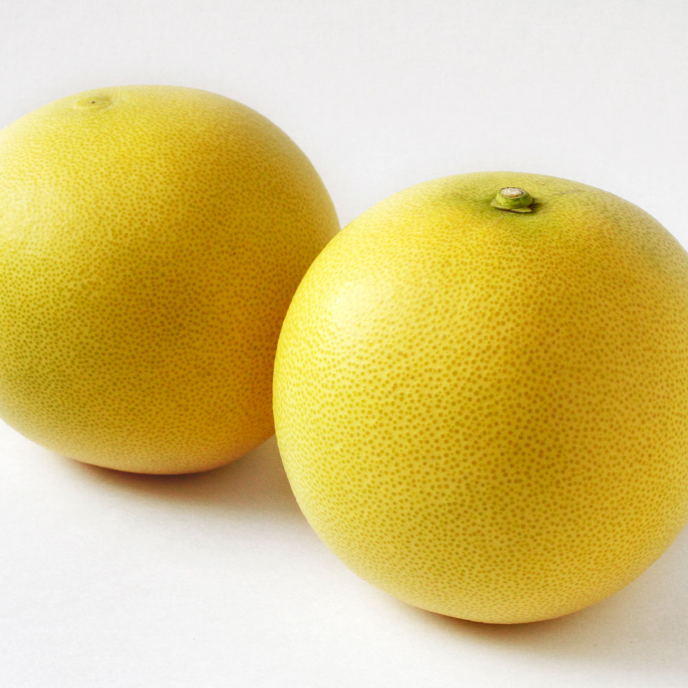 ＜2026年1月下旬より順次発送＞嬉龍の土佐文旦　贈答用　2～3Ｌサイズ　約10kg　減農薬 