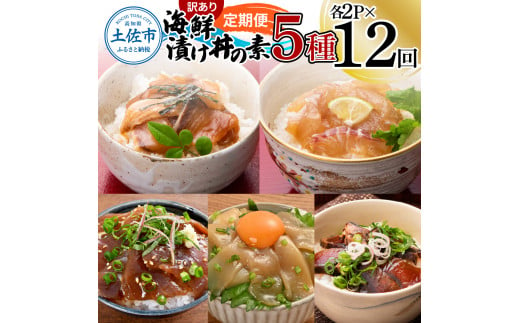 【12回定期便】訳あり土佐の海鮮漬け丼（5種×各2袋）セット 漬け丼の素 タイ 鯛 ブリ 鰤 マグロ 鮪 イカ カツオ 鰹 たたき 新鮮 魚 おかず おつまみ 惣菜 小分け 簡単 訳アリ わけあり