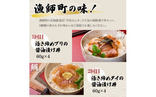 【5回定期便】土佐の海鮮丼セット（ブリ・タイ・カンパチ・マグロ・カツオ）各4Pずつ 漬け丼の素 鰤 ぶり 鯛 たい 鮪 まぐろ 鰹 かつお かんぱち 新鮮 魚 おかず おつまみ 小分け