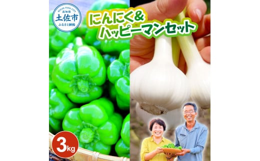 にんにく＆ハッピーマンセット 約3キロ 約3kg ニンニク 自然乾燥にんにく ピーマン 野菜 やさい おかず 副菜 お弁当 新鮮 おいしい 採れたて 国産 訳あり わけあり お取り寄せ