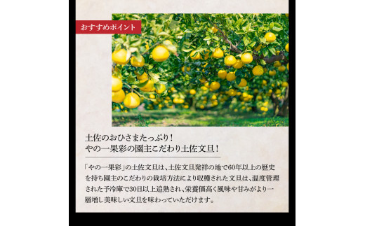 土佐市まるごとセット3回コース(ハヤシの花ダブル30ロール・土佐文旦3kg・生カツオ藁焼きタタキ3～5人前) トイレットペーパー 土佐和紙 ぶんたん フルーツ 鰹 かつお たたき たれ・薬味付き