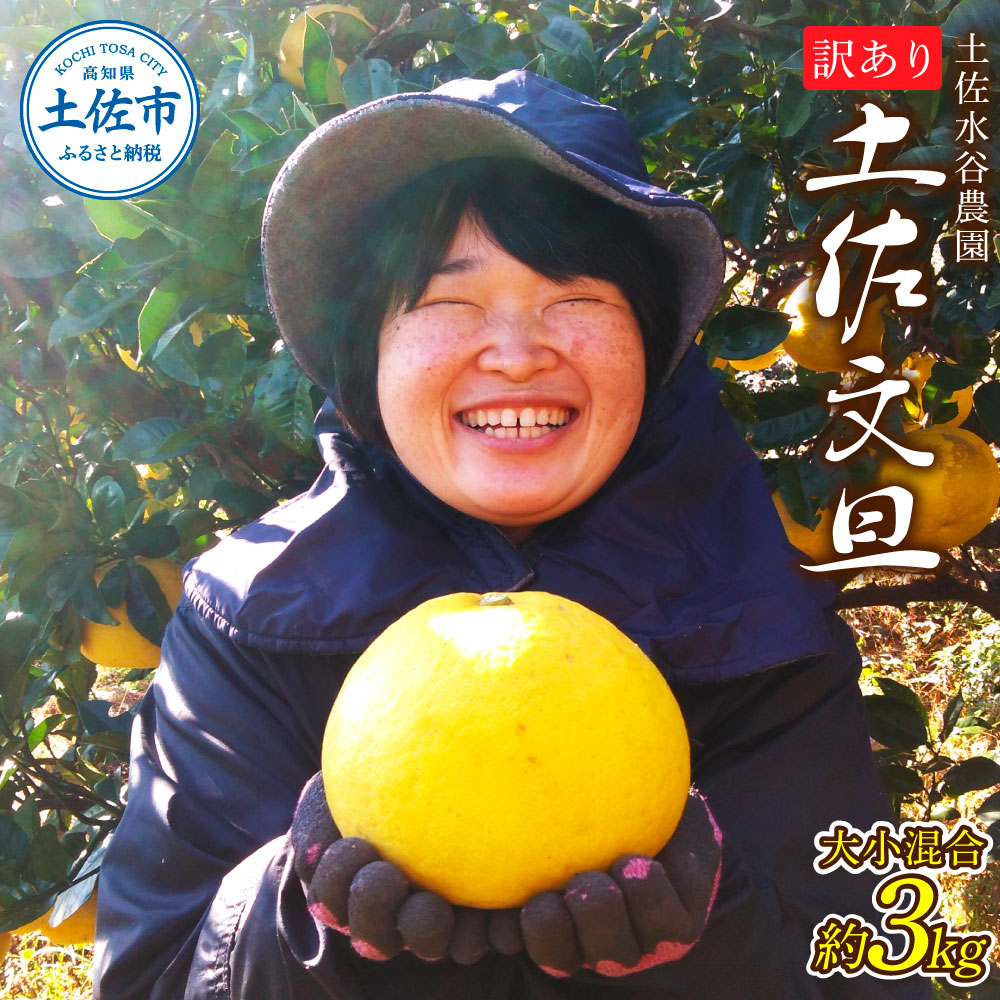 土佐水谷農園の露地土佐文旦 家庭用約3キロ 3kg 大小混合