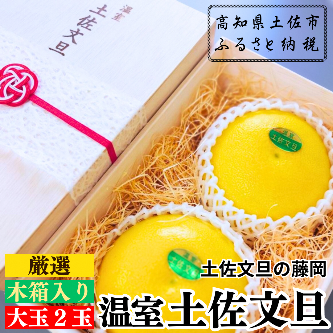 厳選 温室土佐文旦 贈答用木箱入り 大玉 2玉 約600g×2個