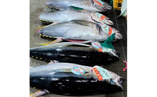 絶品！マグロのネギトロお試しセット 約200g 約1～2人前 薬味・しょうゆ付き