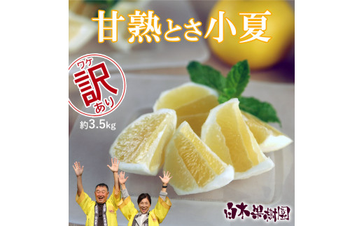 【先行予約】甘熟とさ小夏 約3.5kg 2S～2L 　ご自宅用