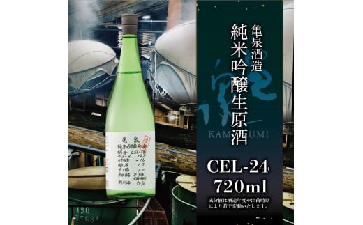 純米吟醸生原酒 CEL-24 720ml 生酒 毎月1本×2回 定期便 お酒 酒 さけ 日本酒 アルコール 生原酒 14度 14% 甘口 フルーティ 食中酒 地酒 亀泉酒造 おいしい 飲みやすい