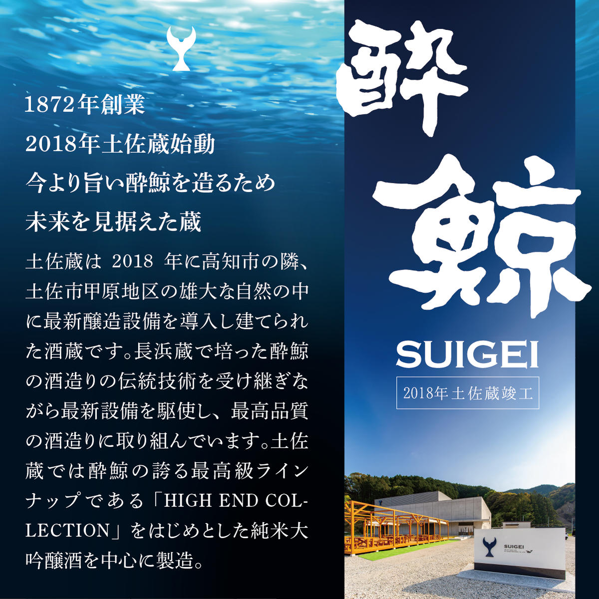 酔鯨 純米大吟醸 DAITO 2023 酔鯨 純米大吟醸 化粧箱入 お酒 酒 日本酒 おさけ 晩酌 家飲み 宅飲み ご当地 お取り寄せ 美味しい おいしい プレゼント ギフト 贈り物 お祝い ふるさとのうぜい 故郷納税 返礼品 高知 高知県 土佐市